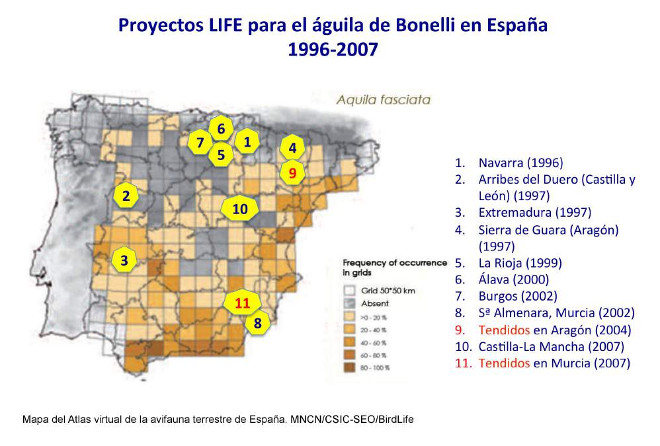 LIFE proiektuak Espainian, Bonelli arranoari zuzendutakoak, 1996-2007  Espainiako hegazti faunaren atlas birtualaren mapa. MNCN/CSIC-SEOBirdLife