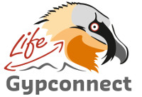 LIFE Gypconnect