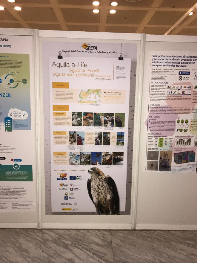 Panel sobre el proyecto AQUILA a-LIFE y el águila de Bonelli expuesto en Conama 2018.