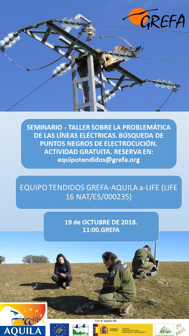 19 de octubre: seminario sobre electrocuciones de aves en GREFA