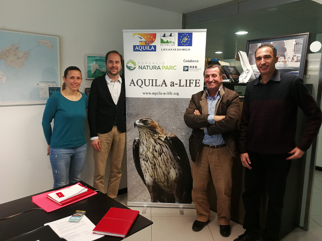 De izquierda a derecha, Marina Tysoe, coordinadora local de AQUILA a-LIFE, Eduardo Maynau, delegado regional de REE Baleares, Toni Mas, presidente de la Fundación Natura Parc, y Javier Álvarez, responsable del proyecto AQUILA a-LIFE en Mallorca, reunidos por la conservación de las aves.