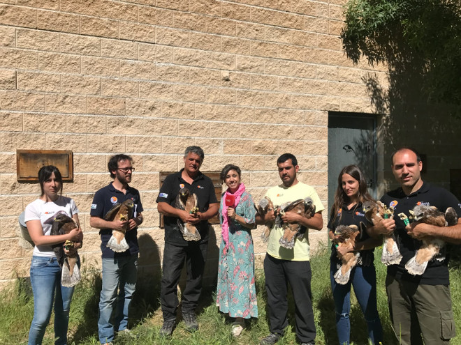 El equipo de GREFA / AQUILA a-LIFE con las águilas de Bonelli reintroducidas hoy en el Parque Regional de la Cuenca Alta del Manzanares (Madrid), en compañía de la periodista Noemí Martínez, de Radio  5 (RNE).