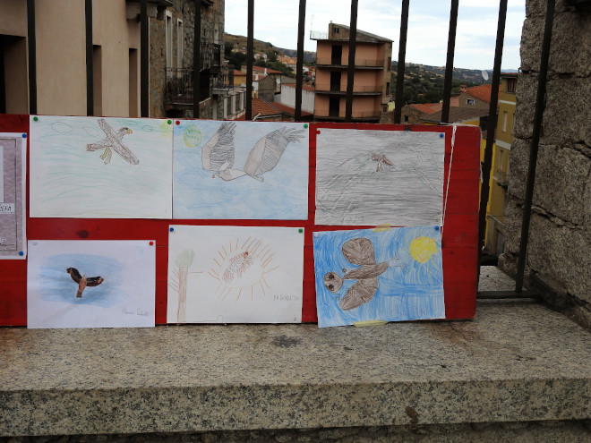 Dibujos de águila de Bonelli realizados por algunos niños asistentes al Día del Águila en Bitti.