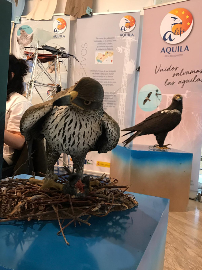 Réplica de águila de Bonelli en el espacio dedicado a AQUILA a-LIFE en el stand de GREFA en Conama 2018.