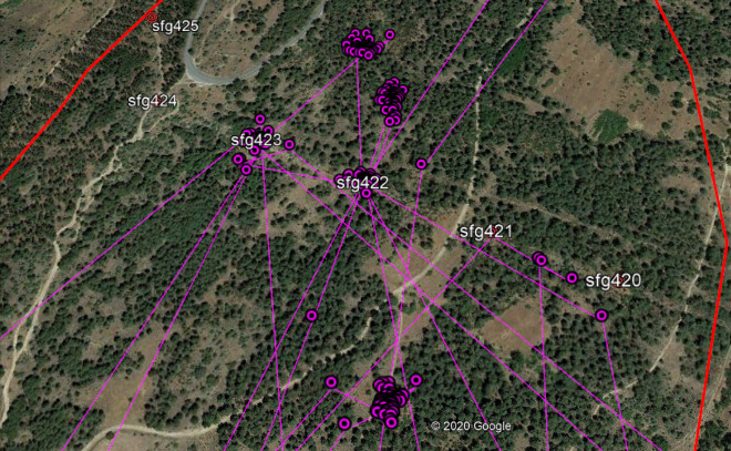 Imagen de satélite con los postes del tendido eléctrico intervenido y los posicionamientos dados por los GPS de "Alameda" y "Noalejo".