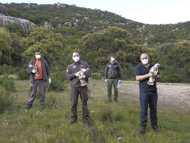 Técnicos y colaboradores de AQUILA a-LIFE poco antes de introducir a las águilas de Bonelli en la "jaula-hacking" del Parque Regional de la Cuenca Alta del Manzanares (Madrid).
