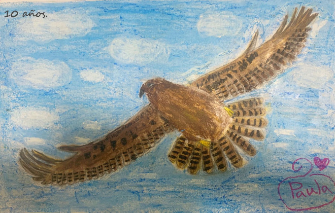 Dibujo de águila de Bonelli de Paula Ruiz, de diez años, presentado en la primera edición de la muestra.