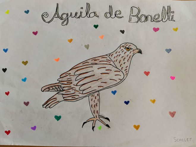 Los alumnos del colegio San Pío X, de Majadahonda (Madrid), participan con sus dibujos en el proyecto AQUILA a-LIFE